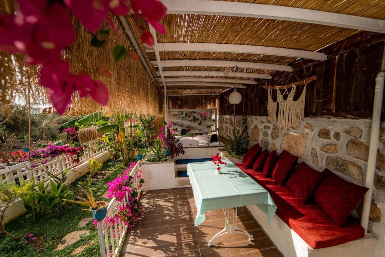 Begonvilla Bungalows フェティエ エクステリア 写真