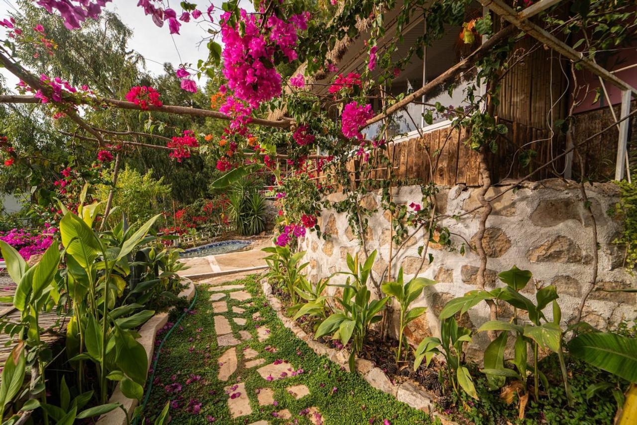 Begonvilla Bungalows フェティエ エクステリア 写真
