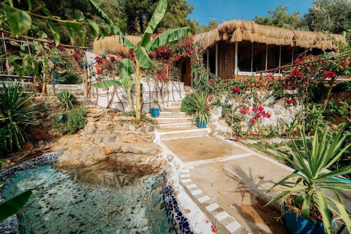Begonvilla Bungalows フェティエ エクステリア 写真