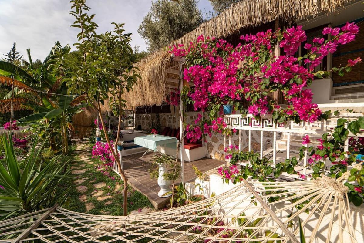 Begonvilla Bungalows フェティエ エクステリア 写真